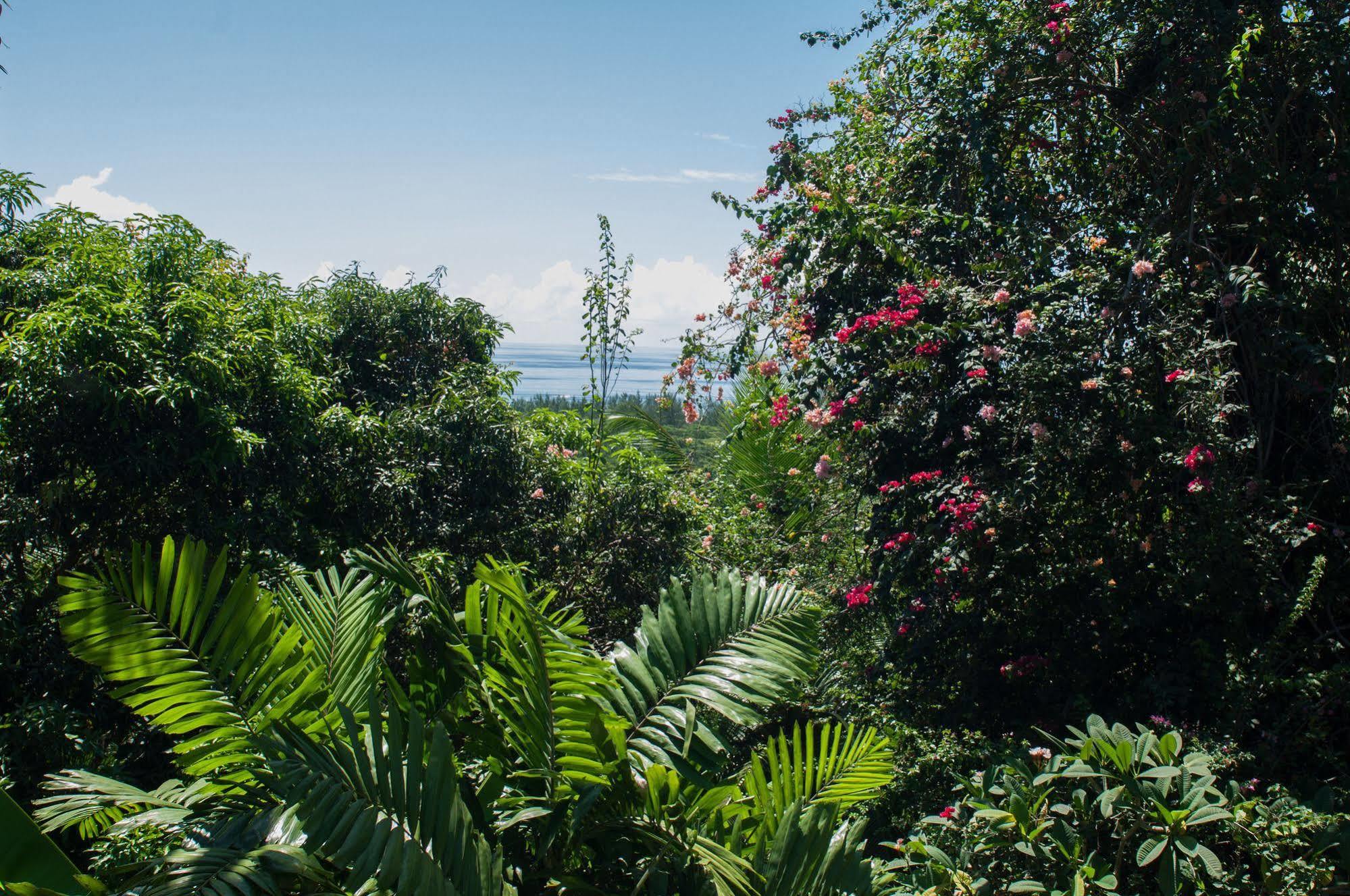 Le Triskell - Guest House Anse aux Pins Luaran gambar